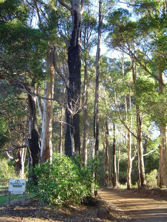 Kangaroo Valley Cottage Denmark Buitenkant foto